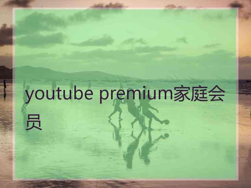 youtube premium家庭会员