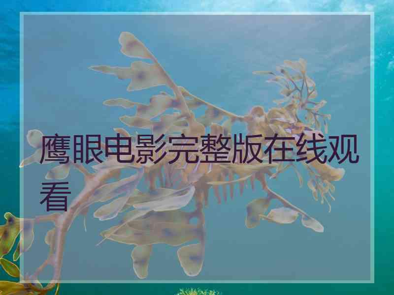 鹰眼电影完整版在线观看