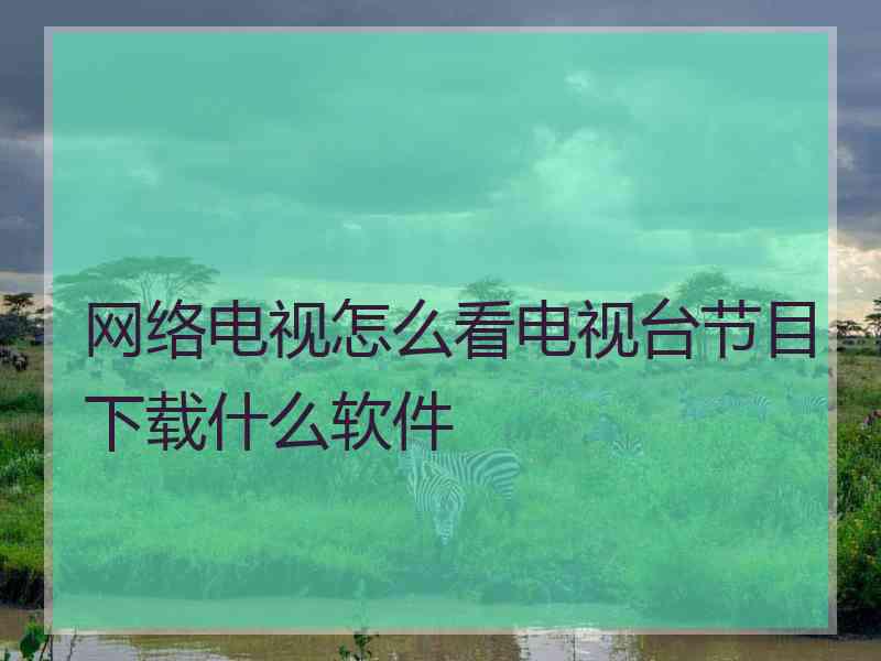 网络电视怎么看电视台节目下载什么软件