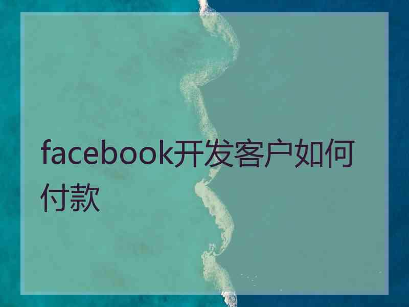 facebook开发客户如何付款