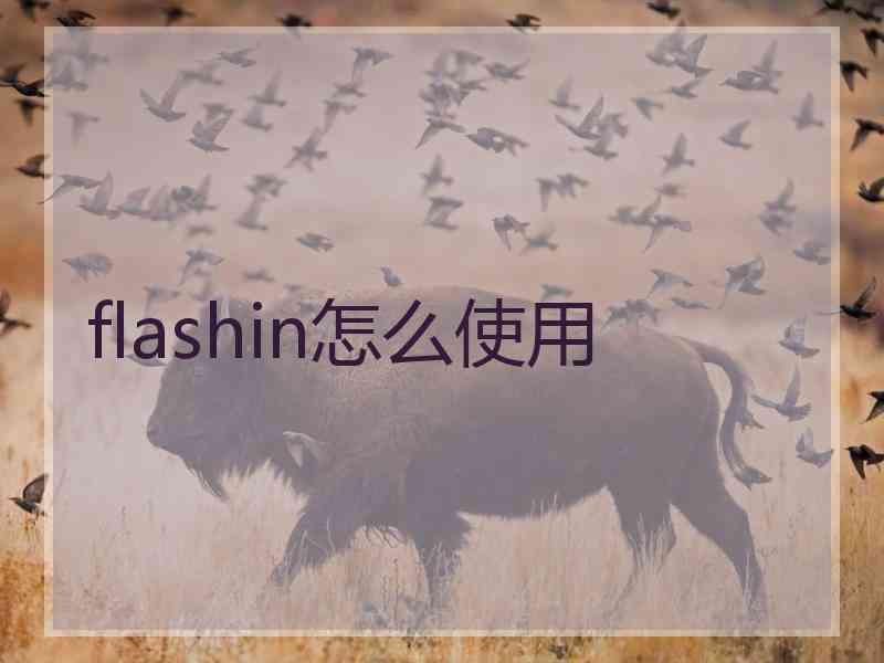 flashin怎么使用