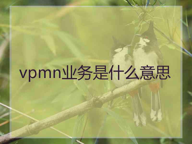 vpmn业务是什么意思