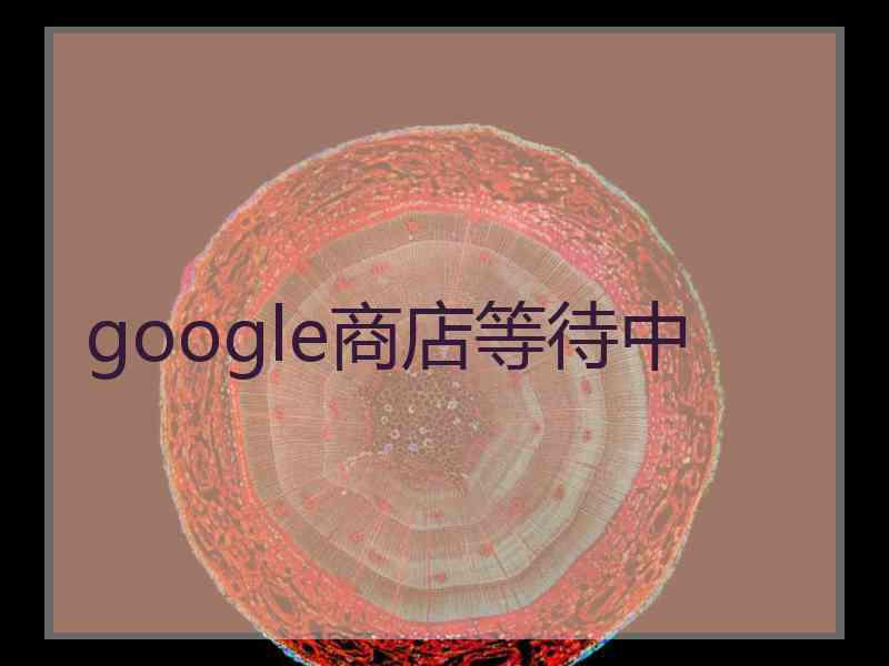 google商店等待中