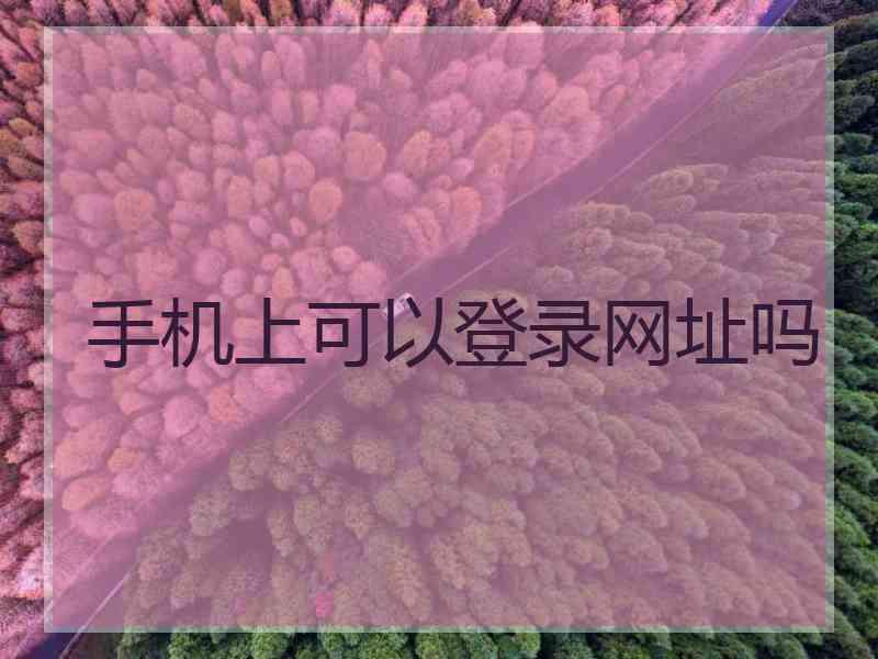 手机上可以登录网址吗