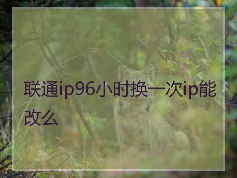 联通ip96小时换一次ip能改么