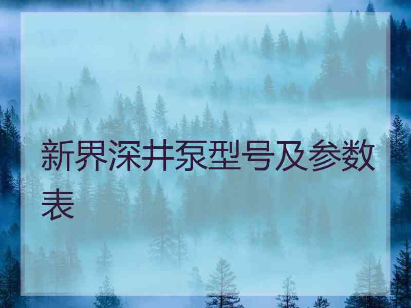 新界深井泵型号及参数表