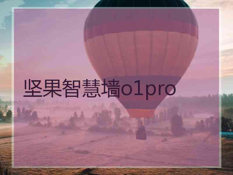 坚果智慧墙o1pro