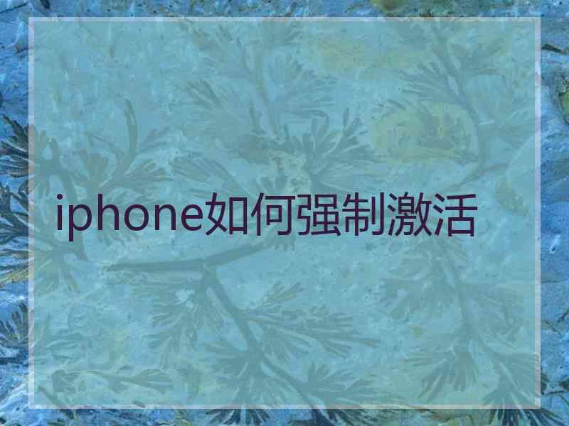 iphone如何强制激活