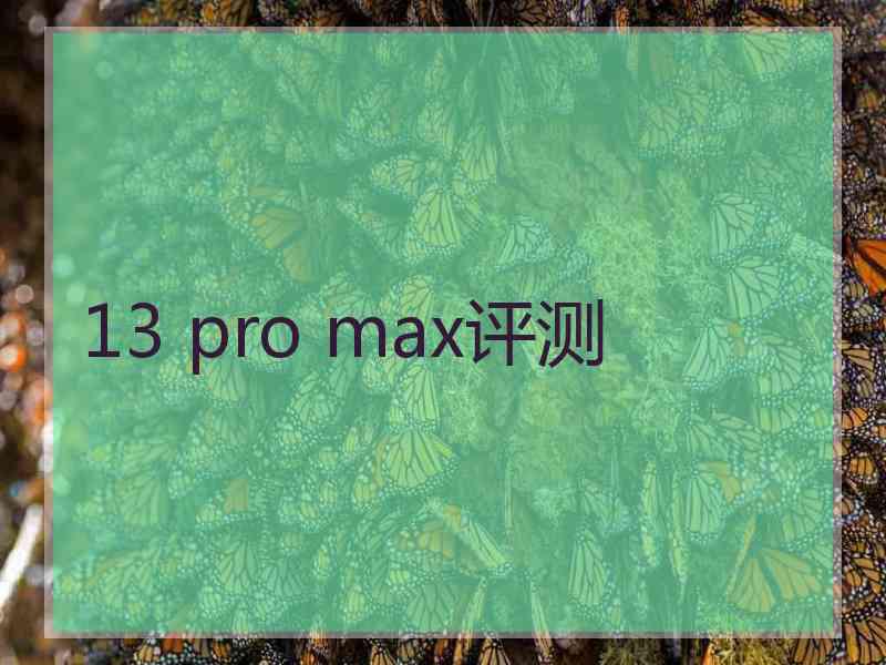 13 pro max评测