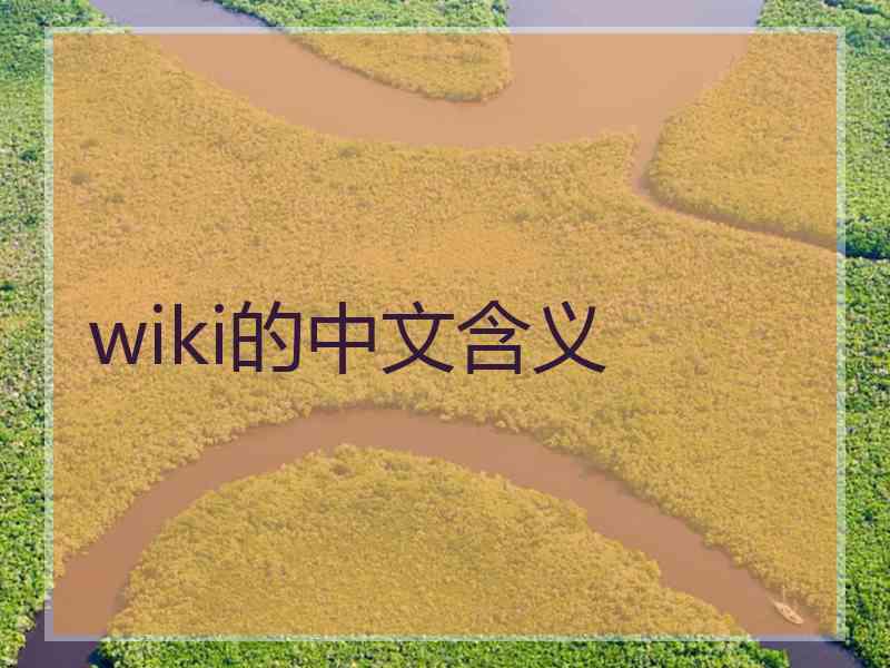 wiki的中文含义