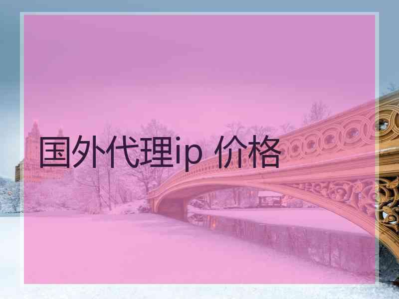 国外代理ip 价格