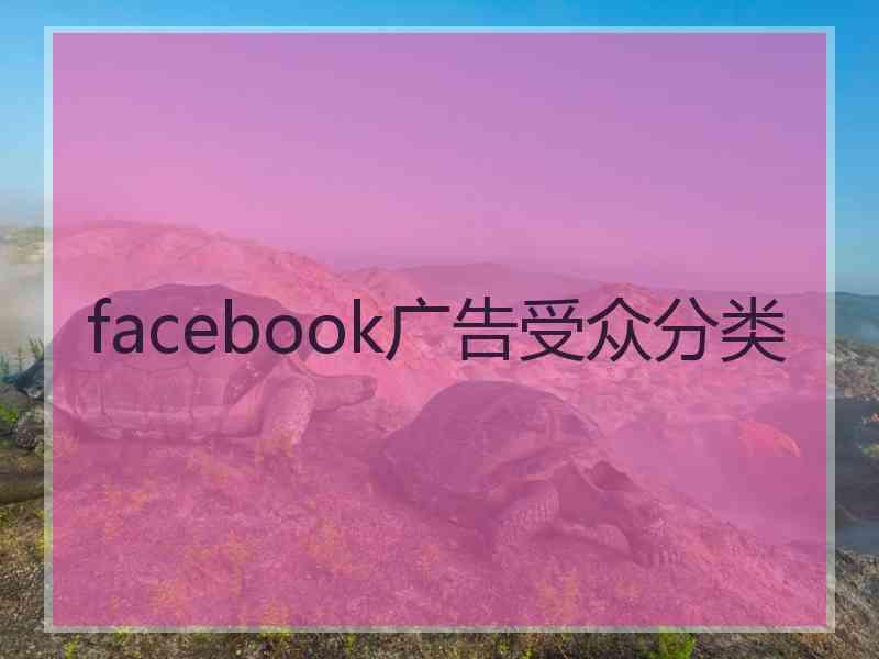 facebook广告受众分类