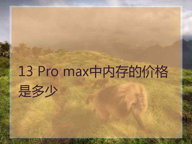 13 Pro max中内存的价格是多少