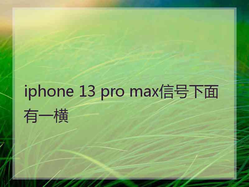 iphone 13 pro max信号下面有一横