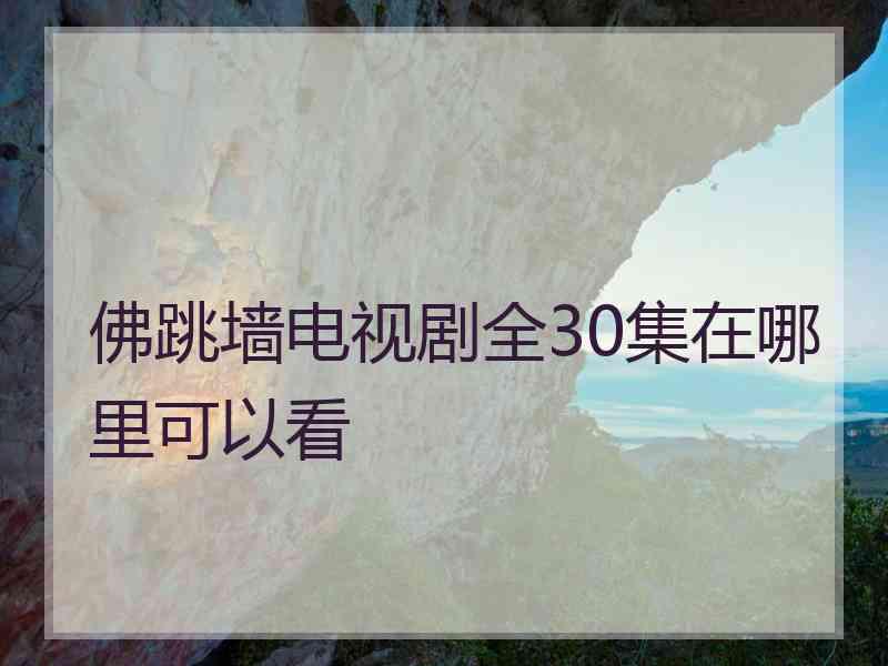 佛跳墙电视剧全30集在哪里可以看