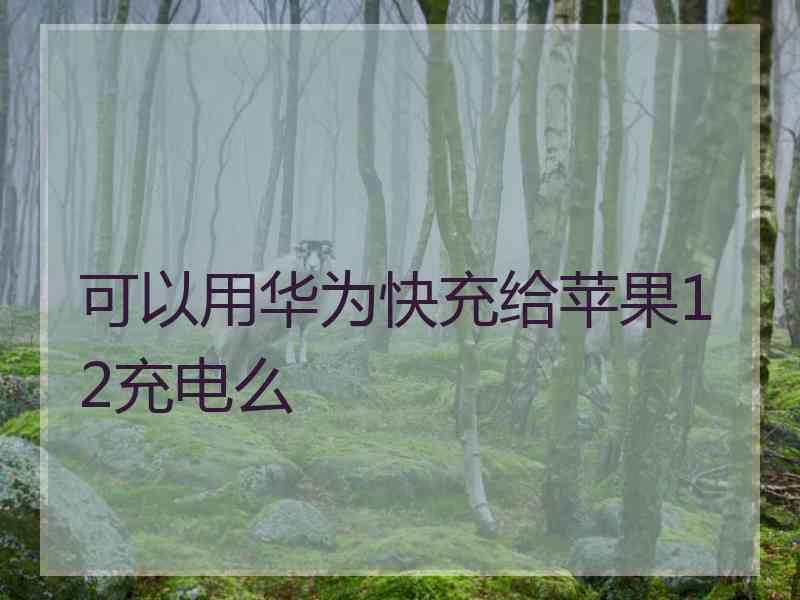 可以用华为快充给苹果12充电么