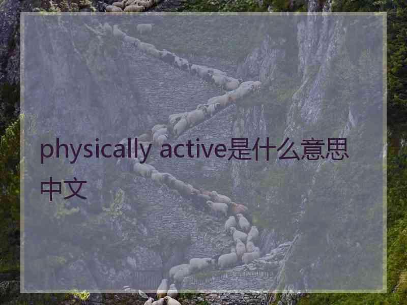 physically active是什么意思中文