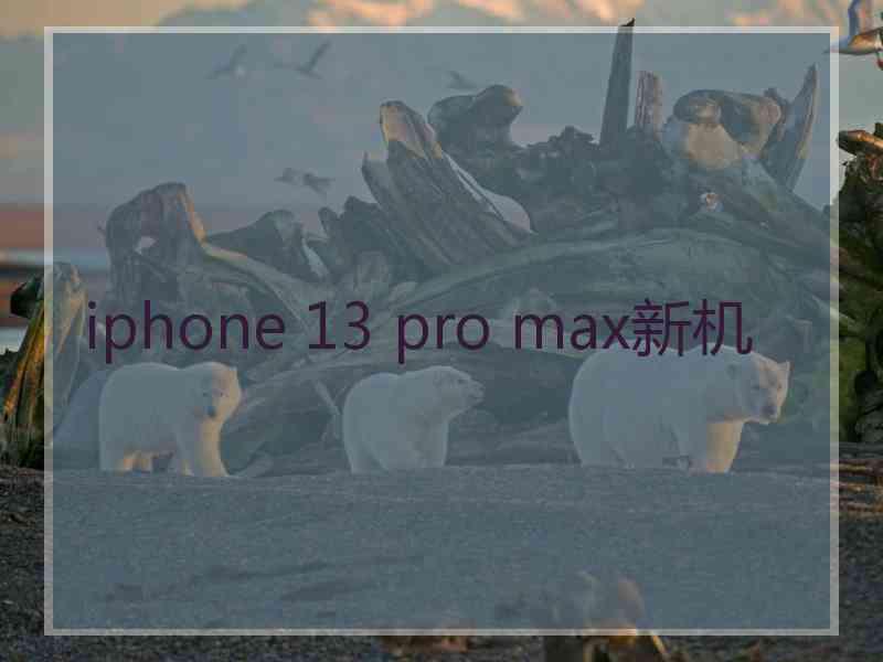 iphone 13 pro max新机