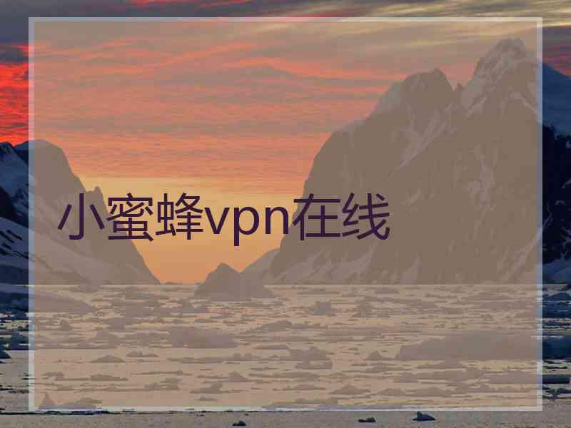 小蜜蜂vpn在线