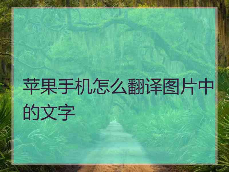 苹果手机怎么翻译图片中的文字