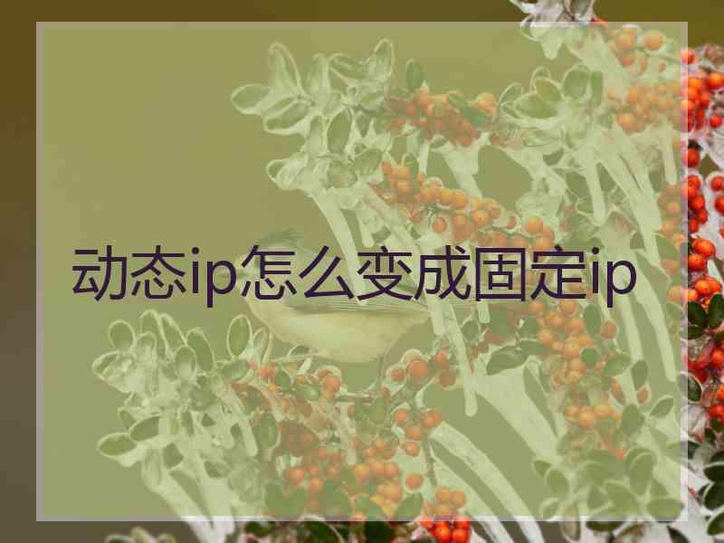 动态ip怎么变成固定ip