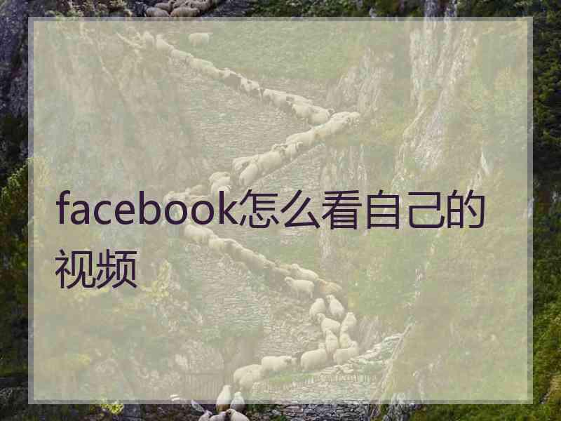 facebook怎么看自己的视频