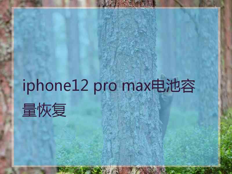 iphone12 pro max电池容量恢复