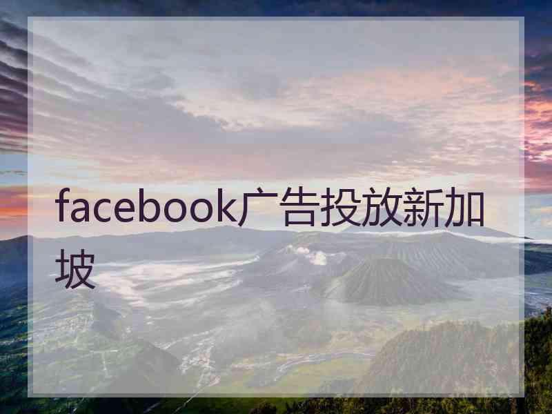 facebook广告投放新加坡