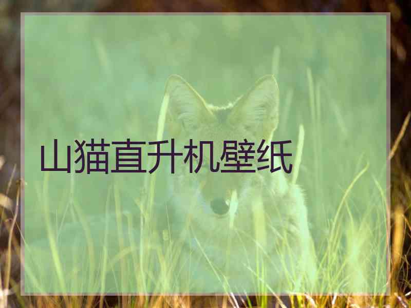 山猫直升机壁纸