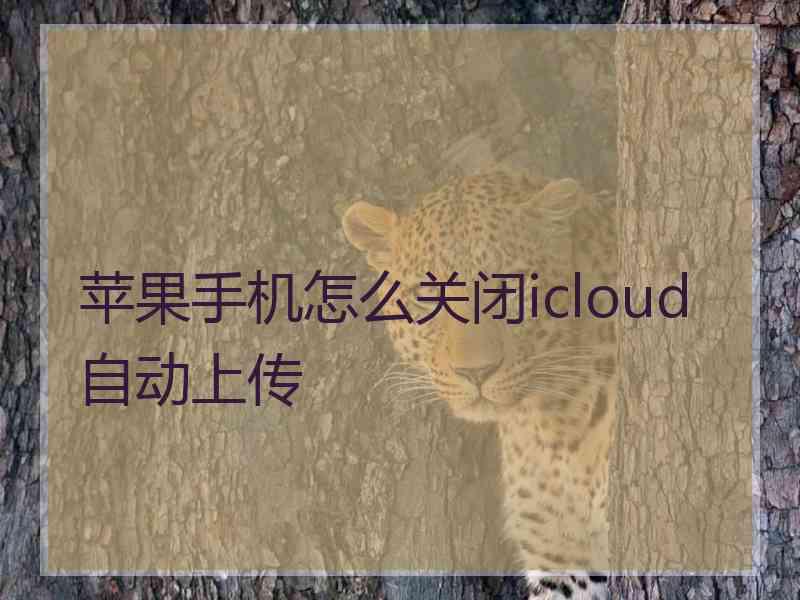 苹果手机怎么关闭icloud自动上传