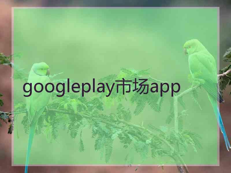 googleplay市场app