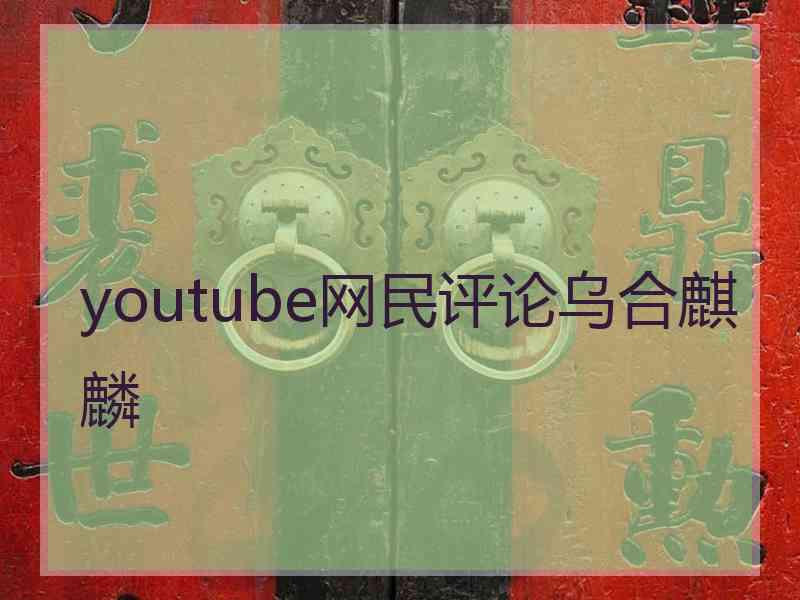 youtube网民评论乌合麒麟