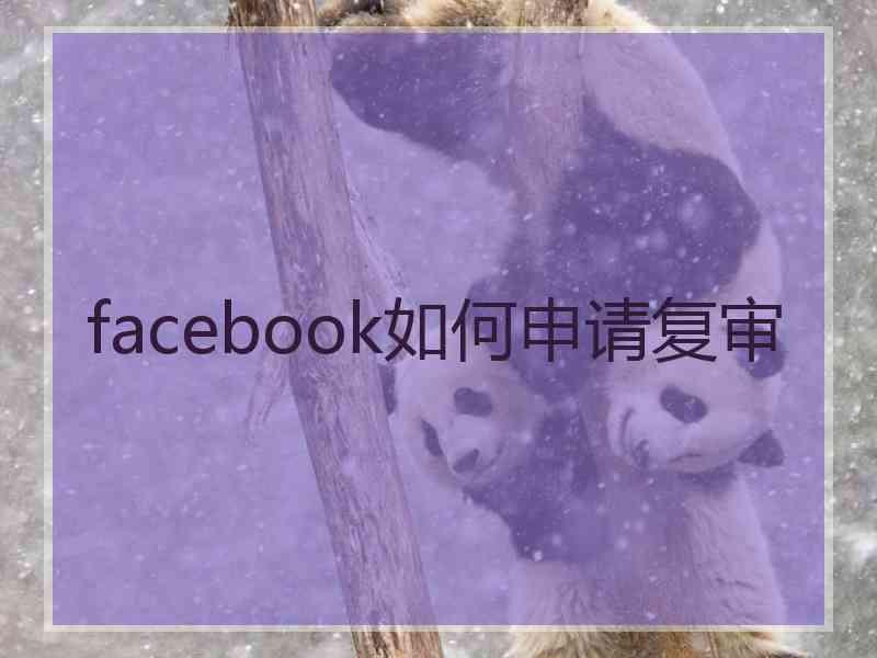 facebook如何申请复审