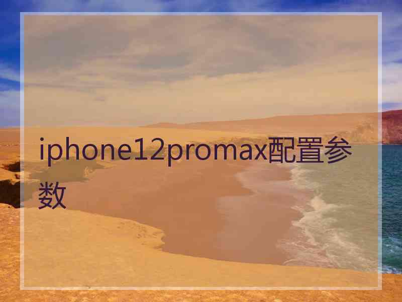 iphone12promax配置参数