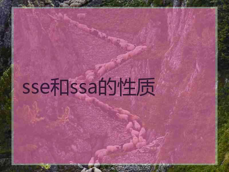 sse和ssa的性质