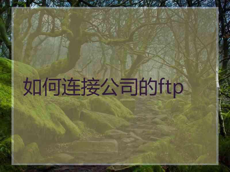 如何连接公司的ftp