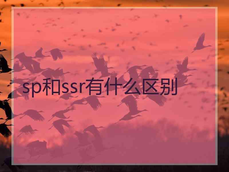 sp和ssr有什么区别