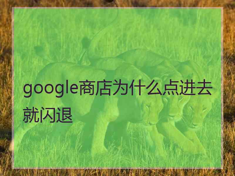 google商店为什么点进去就闪退