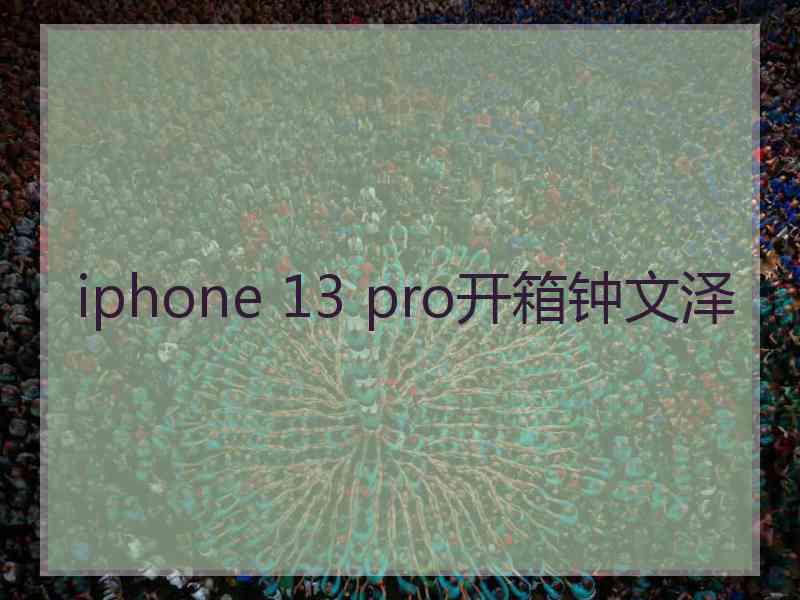 iphone 13 pro开箱钟文泽