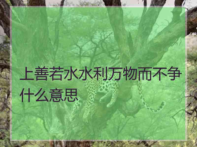 上善若水水利万物而不争什么意思