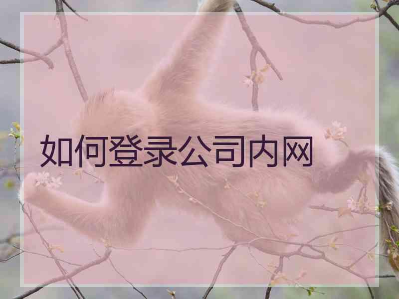 如何登录公司内网