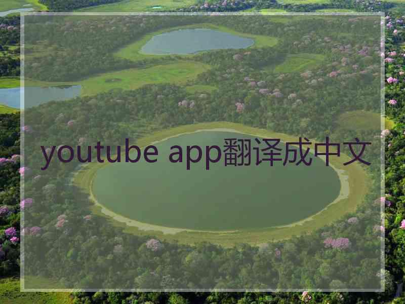 youtube app翻译成中文