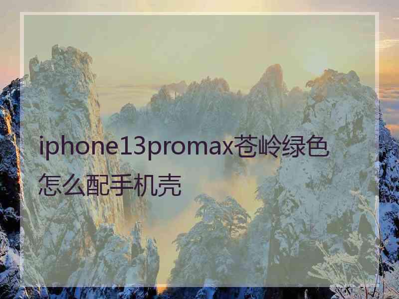 iphone13promax苍岭绿色怎么配手机壳