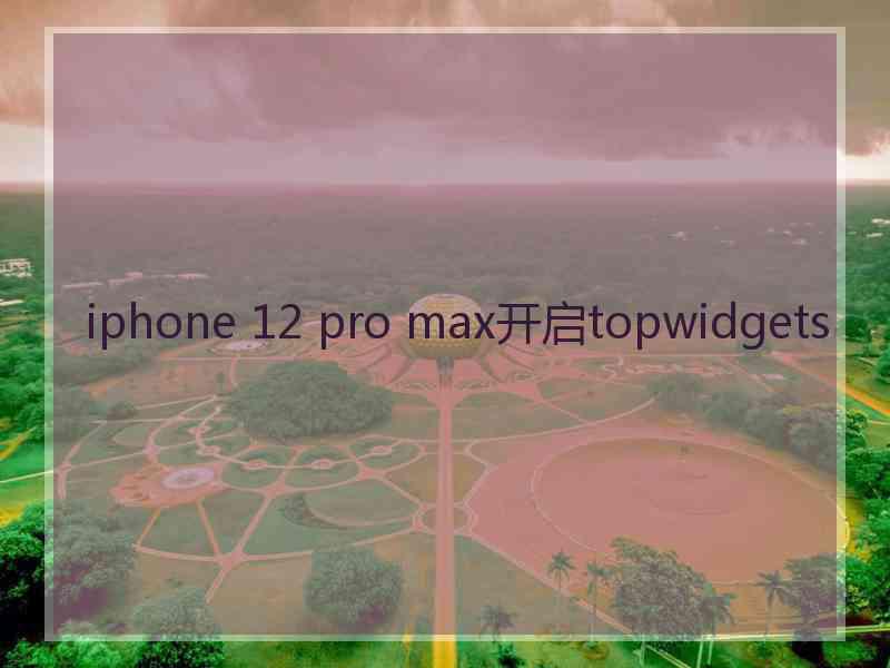 iphone 12 pro max开启topwidgets