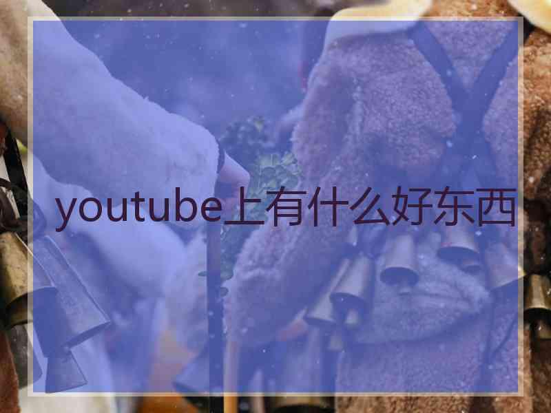 youtube上有什么好东西