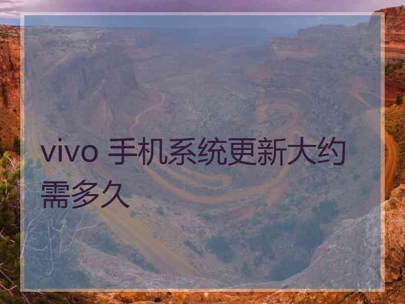 vivo 手机系统更新大约需多久