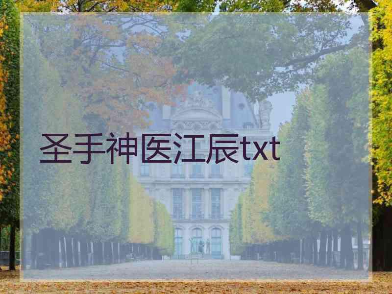 圣手神医江辰txt