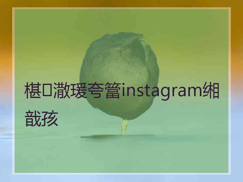 椹潵瑗夸簹instagram缃戠孩