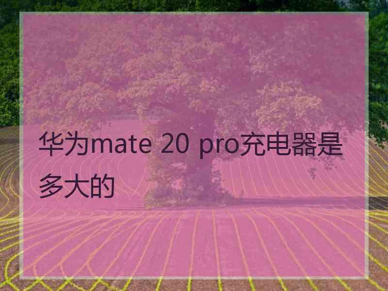 华为mate 20 pro充电器是多大的