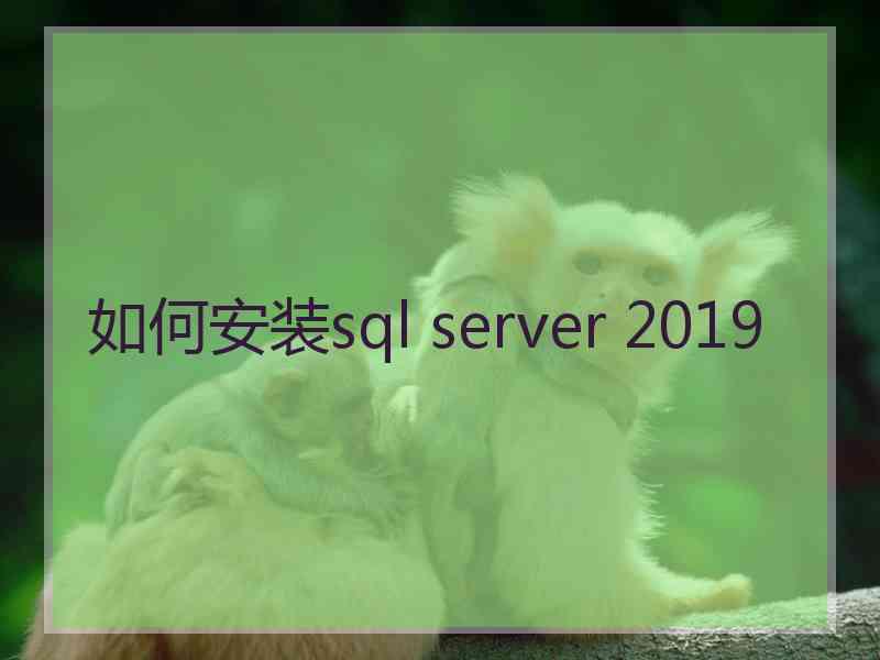 如何安装sql server 2019